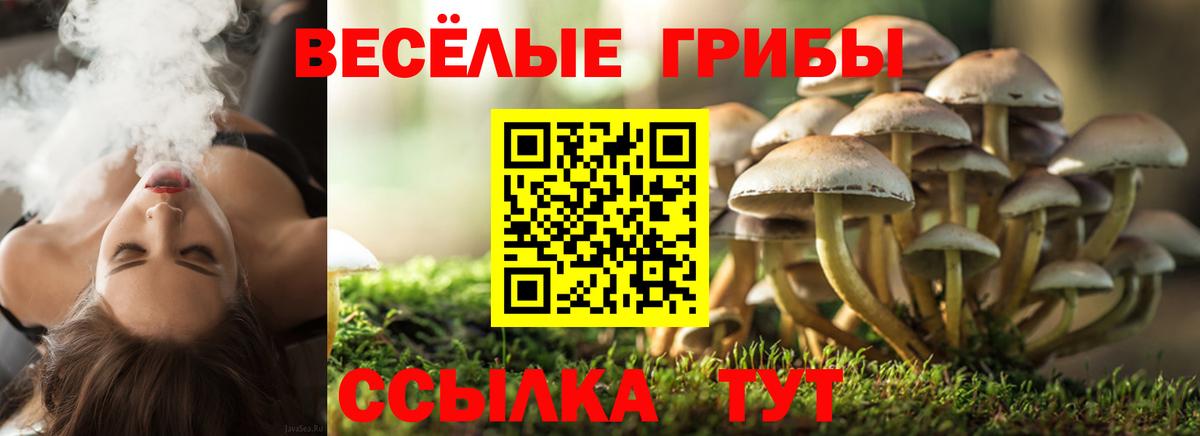 Соль-Илецк  Псилоцибиновые грибы ЛСД  Вход с VPN 